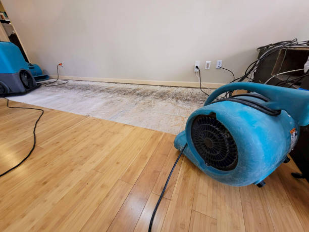 Professional Sewage Cleanup technician working in Edgewood, KY